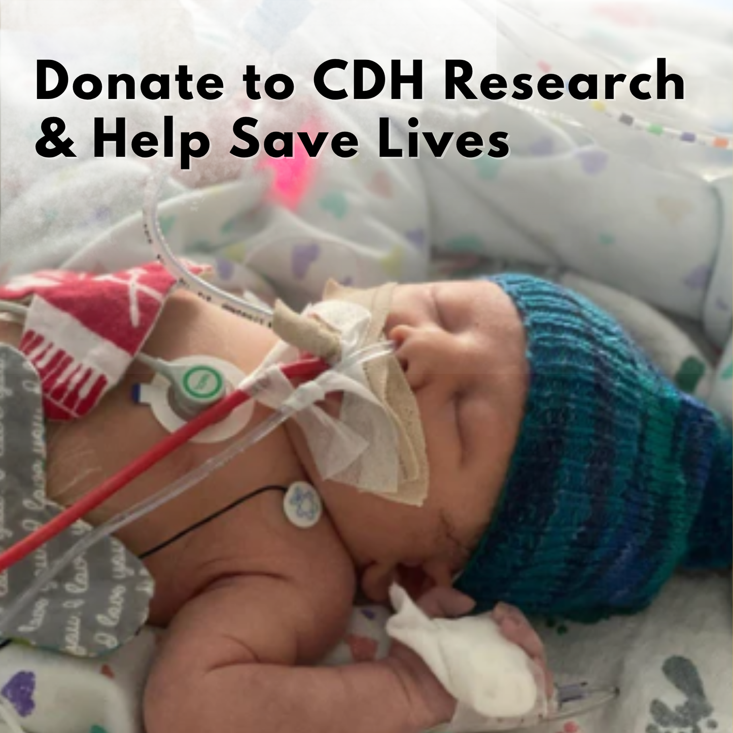 Donate to CDH Research