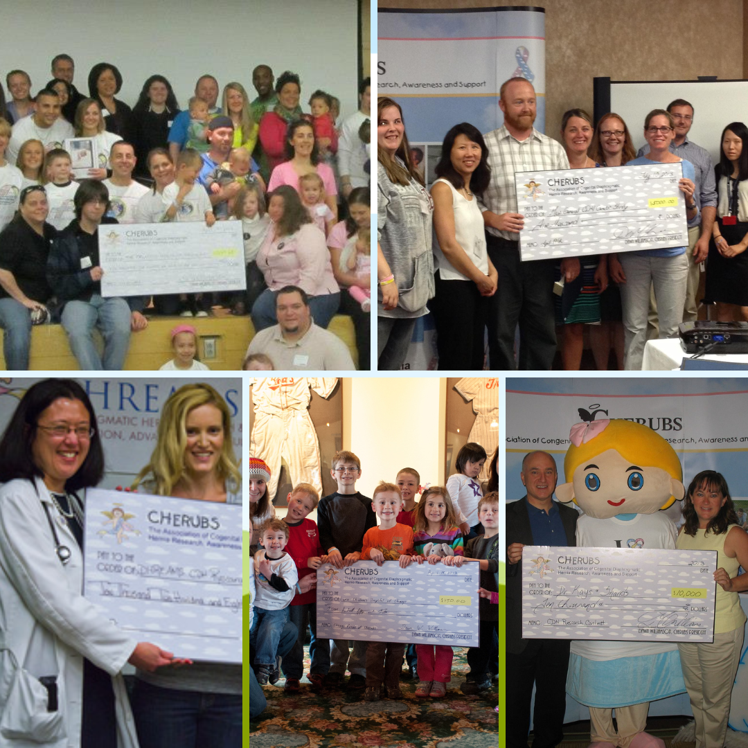 CDH International Sponsorship - Research Grants