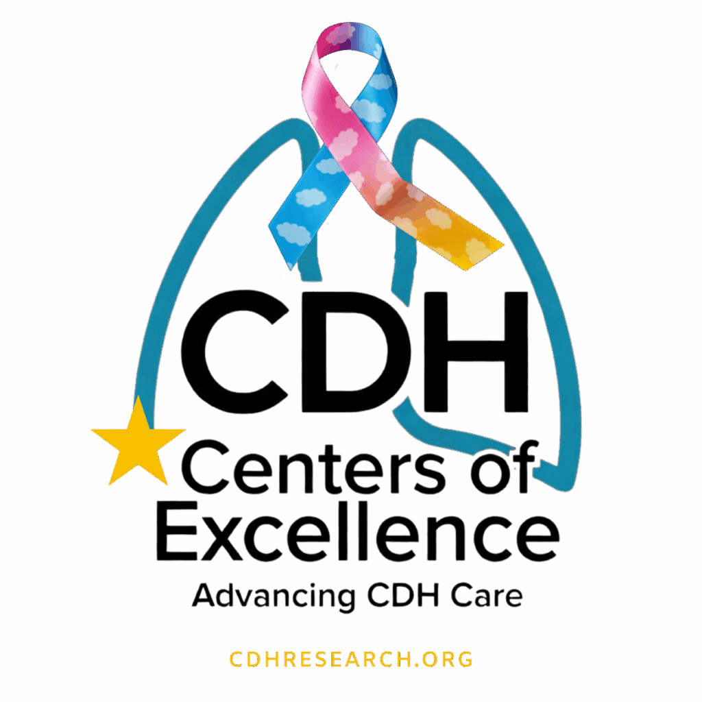 CDH Center of Excellence Accreditation Fees