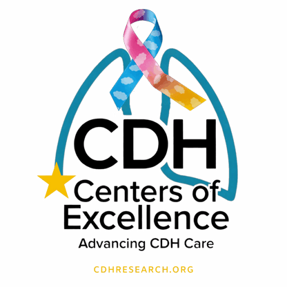 CDH Center of Excellence Accreditation Fees