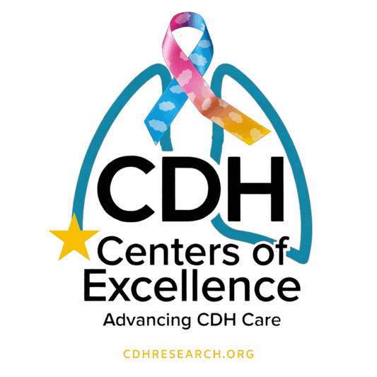 CDH Center of Excellence Accreditation Fees