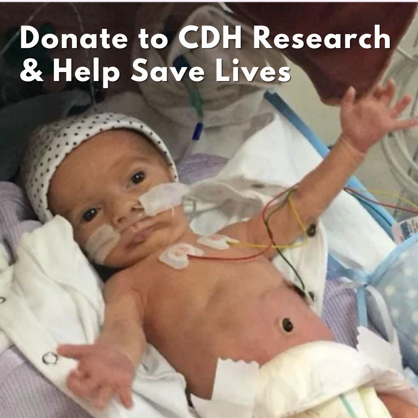 Donate to CDH Research