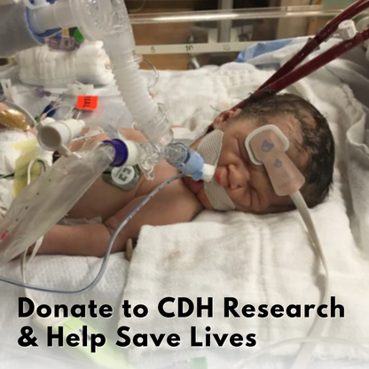Donate to CDH Research