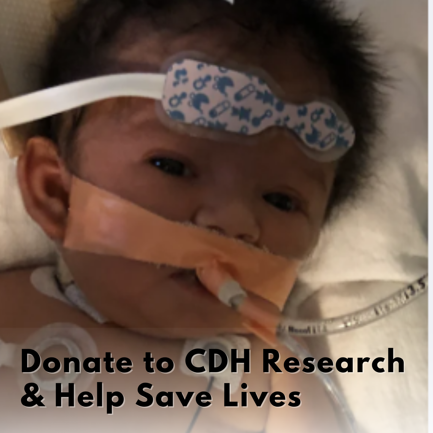 Donate to CDH Research