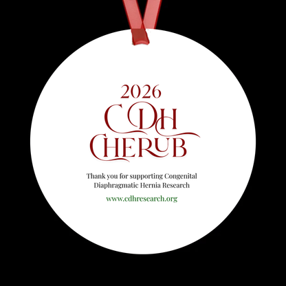 Official 2026 CDH Holiday Ornament