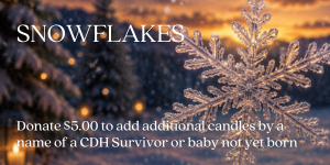 Virtual Candles and Snowflakes