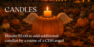 Virtual Candles and Snowflakes