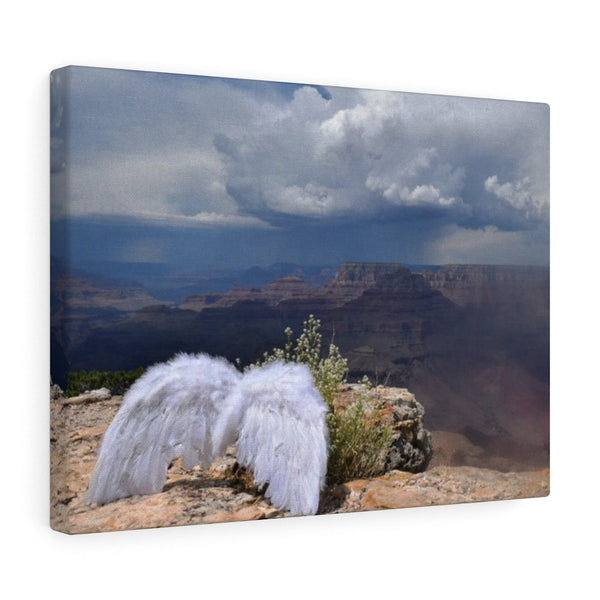 Save the Cherubs - Grand Canyon Canvas Print