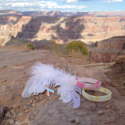 CDH International Sponsorship - Awareness 2022-2023