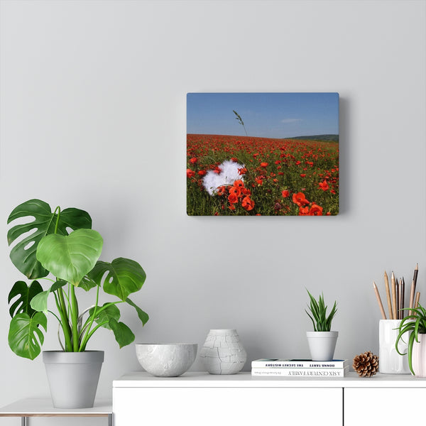Save the Cherubs - English Poppies Canvas Print