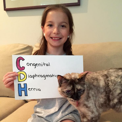 CDH International Sponsorship - Awareness 2022-2023