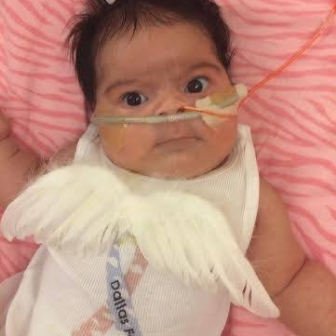 CDH International Sponsorship - Awareness 2022-2023