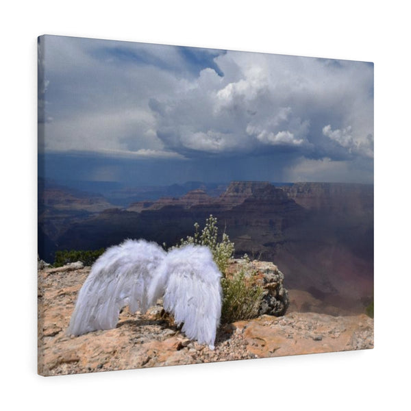 Save the Cherubs - Grand Canyon Canvas Print