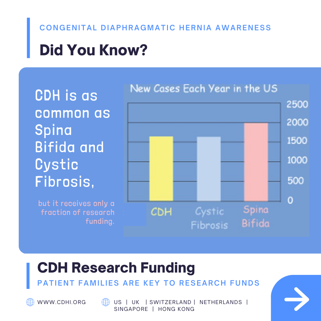 Support the Fight Against Congenital Diaphragmatic Hernia!