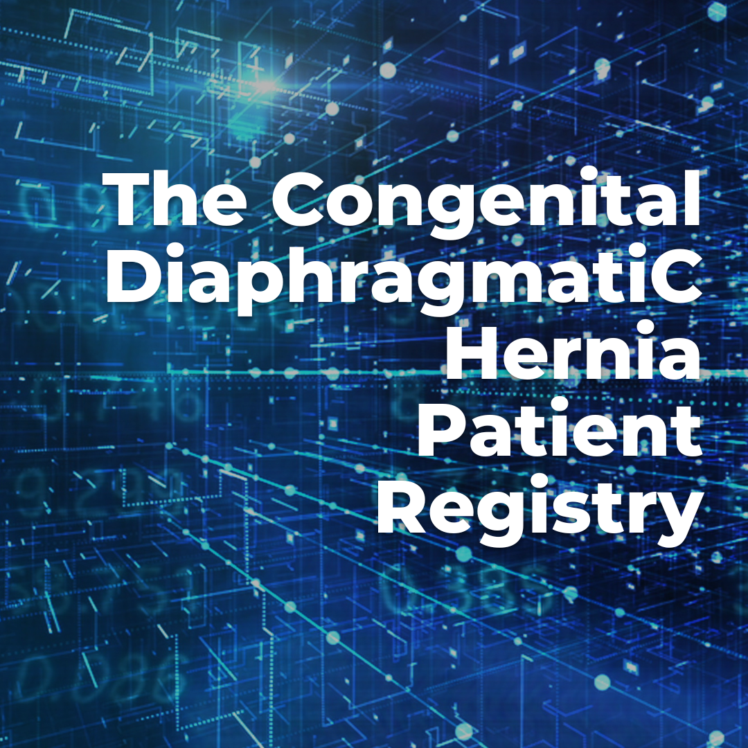 CDH International Sponsorship - Research Grants