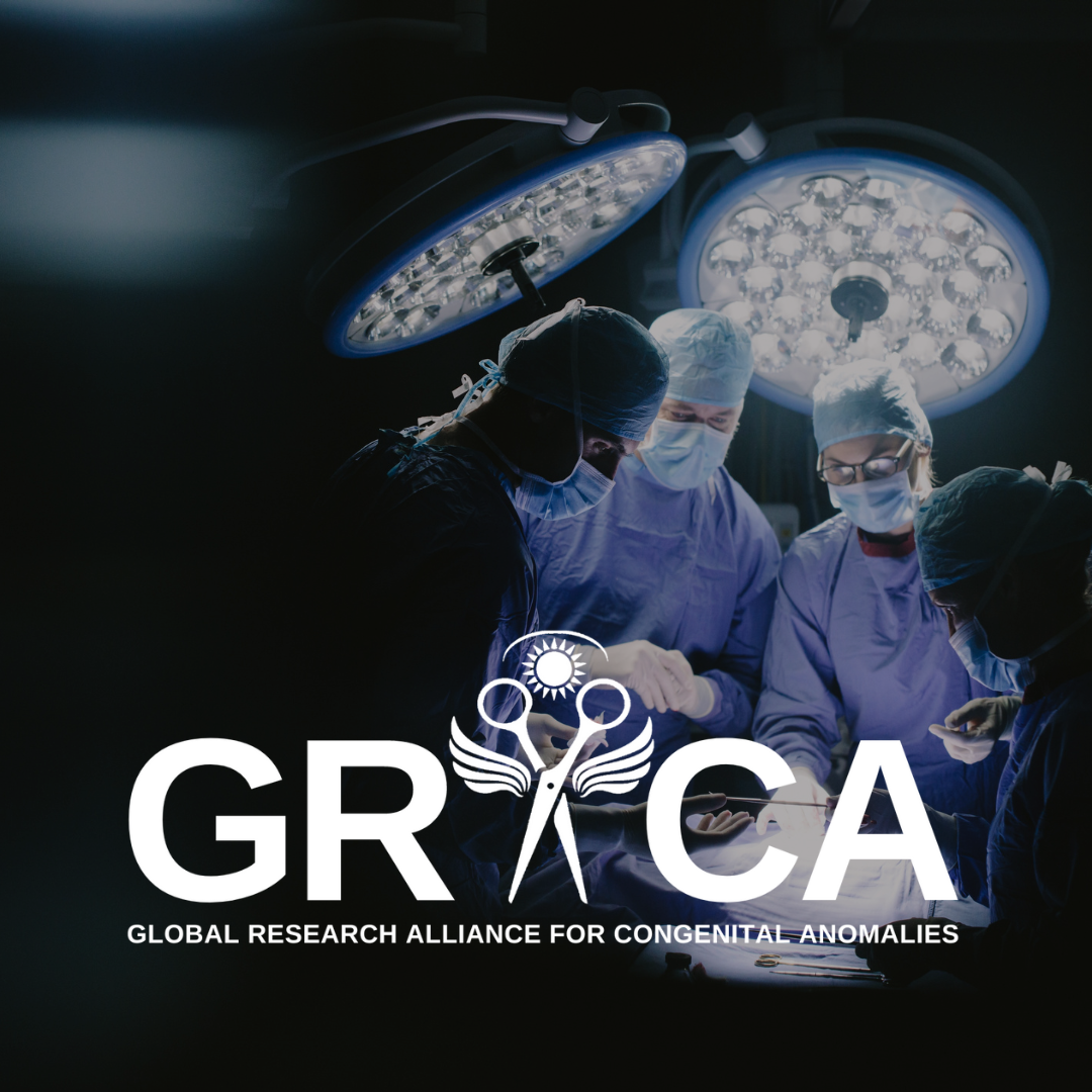 CDH International Sponsorship - Research Grants