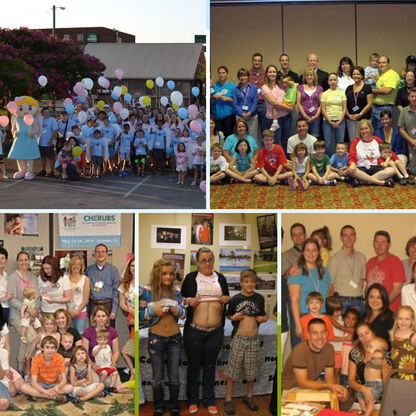 CDH International Sponsorship - Research Grants