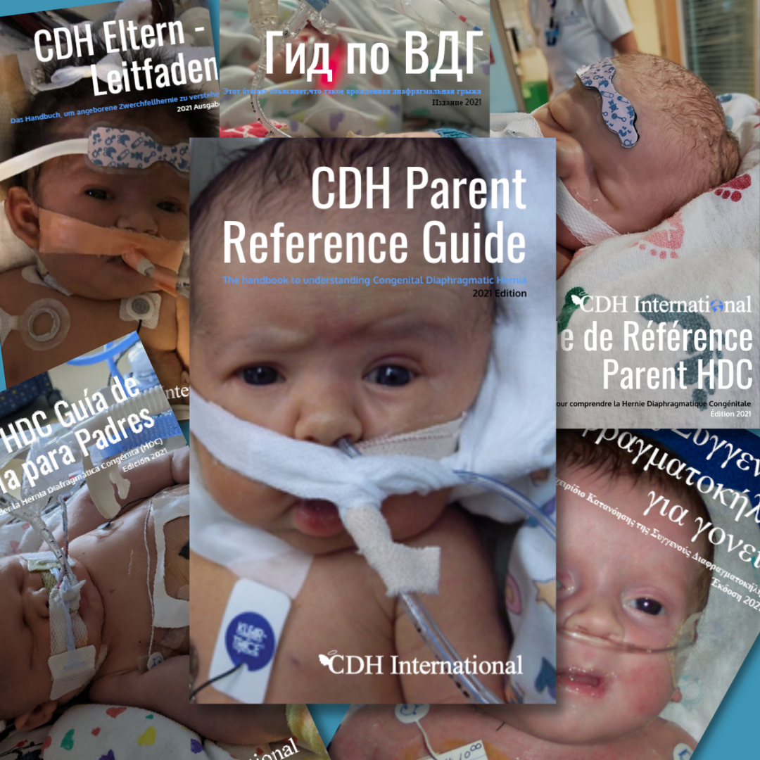 CDH International Sponsorship - Patient Support 2022-2023