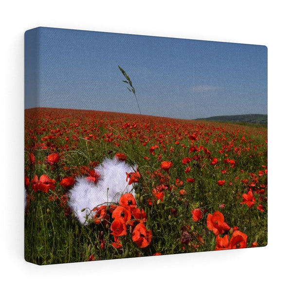 Save the Cherubs - English Poppies Canvas Print