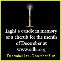 Virtual Candles and Snowflakes - CDH International