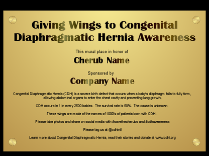 CDH Wings Mural - CDH International