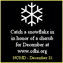 Virtual Candles and Snowflakes - CDH International